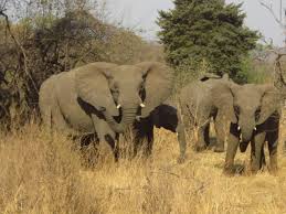 Kumpulan 1 kumpulan 2 group 1 group 2 a. September 2008 Cerita Dari Hati Saya