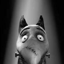 Children might thrill in making their own coloring book too. Category Frankenweenie Characters Disney Wiki Fandom