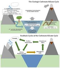 carbonatesilicate cycle wikipedia