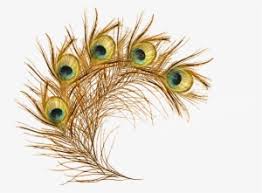 Peacock Png Free Hd Peacock Transparent Image Pngkit All images are transparent background and unlimited download. peacock png free hd peacock