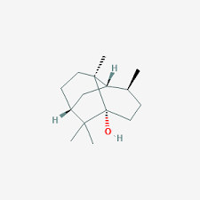 Patchouli Alcohol C15h26o Pubchem
