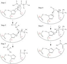 Purpose the drug is used to treat selected patients. Protease Inhibitors