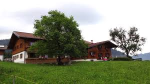 Maybe you would like to learn more about one of these? Alpe Dornach