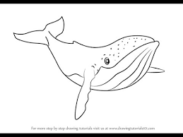 Watercolor sketch of humpback whale. How To Draw Humpback Whale From Fantasia Youtube