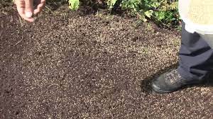 Aug 21, 2020 · fixing bare spots in a lawn step 1: How To Seed A Lawn Youtube