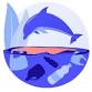 Marine Conservation Walk event in St. Augustine, FL