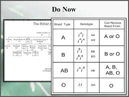 Do Now British Royal Family Pedigree Explain This Chart