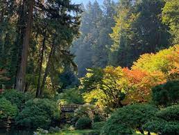 Portland Japanese Garden Adds Additional Day To Schedule Koin Com