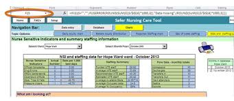 Hidden Cells In The Safer Nursing Tool