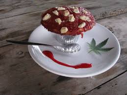 Cuisine Au Cannabis Blog Alchimia