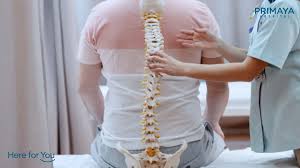 We did not find results for: Jenis Jenis Pengobatan Spondilosis Dengan Pembedahan Dan Terapi Primaya Hospital