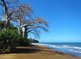 Non, mais plutôt des tonnes de déchets ! Liste Des Plages De Mayotte Wikipedia