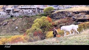 Check spelling or type a new query. Belle Et Sebastien Chanson Du Film De Nicolas Vanier Youtube