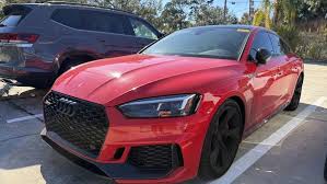 Image result for Misano Red 2019 S5