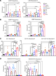 Analysis of immature and mature cells in the BM of Tet2 +/-Dnmt3a...