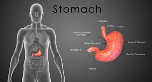 Take the gut check to learn what symptoms may be more than occasional constipation. Hollow Pit Stomach Feeling Causes Treatment Diet Lifestyle Healthhype Com