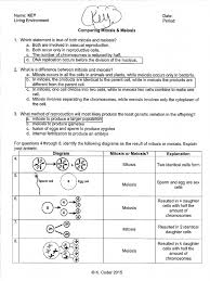 Biology meiosis worksheet answer key, chromosomes and meiosis reinforcement worksheet answers and meiosis matching worksheet answer key are three of main things we want to show you based on the post title. Comparing Mitosis Meiosis Key