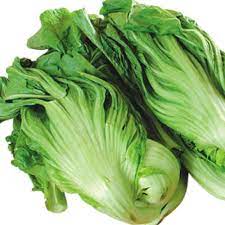 Dua sayur labu pahit, sayur pare, sayur pahit, makanan alami, biru png. Jual Biji 30 Benih Sayur Sawi Pahit Unggul Di Lapak You And I Bukalapak