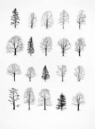 Print Katie Holten New York Trees I Ink On Paper 30 X 22 Inches Tattoos Tree Tattoo Drawings