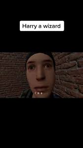 You Are A Wizard Harry Bee