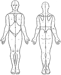 We did not find results for: The Body Diagram Used By Fm Patients To Indicate Local Pain Comprised Download Scientific Diagram