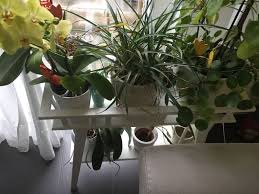 Ikea Blumenstander Lantliv Kaufen Auf Ricardo