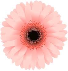 Flower Png Clip Art Image In 2020 Art Images Clip Art Art
