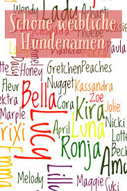 Schöne, süße, lustige und ausgefallene katzennamen für katzen und kater + hilfreiche tipps, damit du den passenden namen für deine katze findest. Hundenamen Weiblich 223 Seltene Coole Und Beliebte Namen Fur Hundin Hundenamen Weibliche Hundenamen Namen Fur Hunde