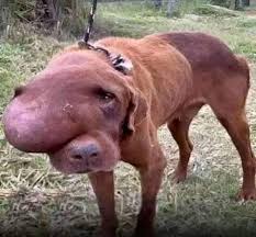 I am very sad cause nobody love me💔🥺 . . . . . . . . #jenniferlopez  #alexandradaddario #AngelinaJolie #MeganFox #margotrobbie #chrisevans  #ChristianBale #AnneHathway #BrieLarson #ScarlettJohansson #elizabetholsen  #JenniferLopez #JenniferAniston ...