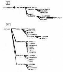 Behavioral Kinematic Flow Diagrams From Ray Brown 1975