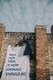 Versace, michael kors and gucci recently made the decision to stop using fur and joined the ranks of other notable labels including tommy. Sustainable Brands Europe Sustainable Fashion Matterz