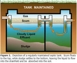 The pipes have small holes all over the bottom and sides of the pipes. Septic Tank Additives Clark County Washington State University