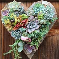 Pin By Patricia Karcher On Garden Stuff Vertical Succulent Gardens Succulents Vertical Garden