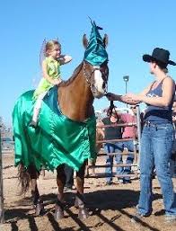 Peter Pan Tinkerbell Horse Halloween Costumes Horse Costumes Animal Costumes