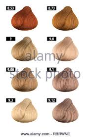 Haircolor And Hair Dye Colours Chart Colour Numbers 8