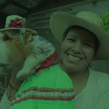 Javier Arturo Sigil Sotelo