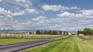 Alberta is lucky to have entrepreneurs coming through giving presentations online. Engaging Primary Care In The Community Management Of Covid 19 Global Lessons From A Small Town In Alberta Canada Health Affairs