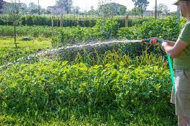 Maybe you would like to learn more about one of these? Keeping Your Water Hose From Freezing In The Colder Weather