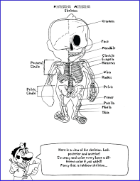 Coloring is a great activity that does not require too much of resources and is fun for the kids as well. Excelent Anatomy Coloring Pages Muscles Image Inspirations Childrens A2fb31eda95091bfc080987971afd435 Pages Dialogueeurope