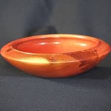 Image result for Berchemia zeyheri