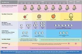 infant stomach size best start resource center baby weight