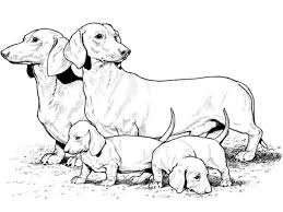 Best dog coloring pages » coloring pages kids. Dog Coloring Pages For Kids Print Them Online For Free