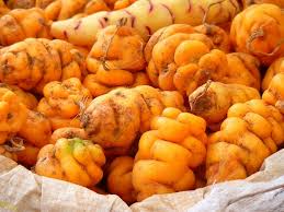Pommes De Terre Du Perou Oca Du Perou Alimentation Cuisine Peruvienne