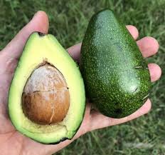 Image result for Dark Avocado 1983 Fedders