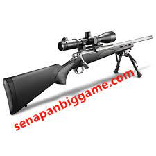 Snapan pcp biggame lokal cal 6,35mm up 9mm, dengan tekanan 6000psi dan 1200fps / shoot Senapan Angin Remington 700 High Dengan Kemampuan 6000 Psi Cal 9mm Senapan Big Game