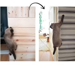 Make It Boho Diy Katzen Kletterwand Ikea Hack Katzen Kletterwand Katzenhaltungstipps Kletterwand