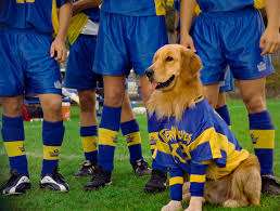 Golden receiver special edition by kevin zegers dvd $4.99. Air Bud 3 2000