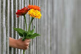 The most common love and forgiveness material is gemstone. Quantifying Forgiveness O Reilly