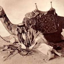 C# g#7 c# c#7 the sexual life of a camel which accounts for the hump on the camel, and the sphinx's inscrutable smile. Sex Camel S Stream