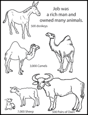 Sunday School Job S Animals Bible Color Sheet Sunday School Coloring Pages Bible For Kids Sunday School Crafts For Kids